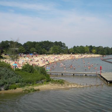 Vijver en strand De Nekker 2