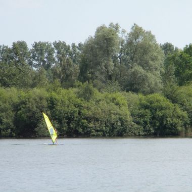 Surfen in De Nekker